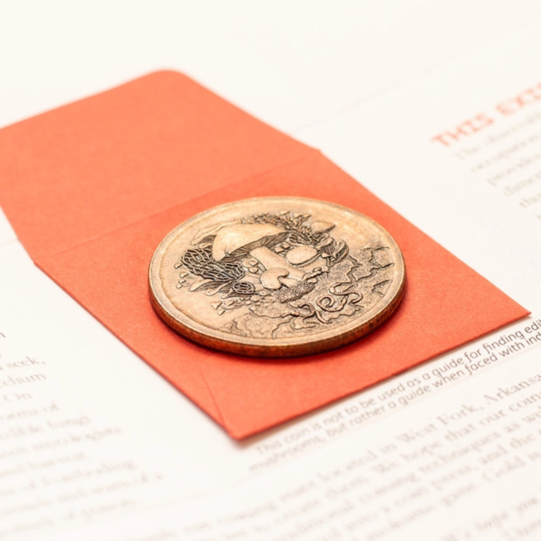 Fungible Token Decision Maker Coin
