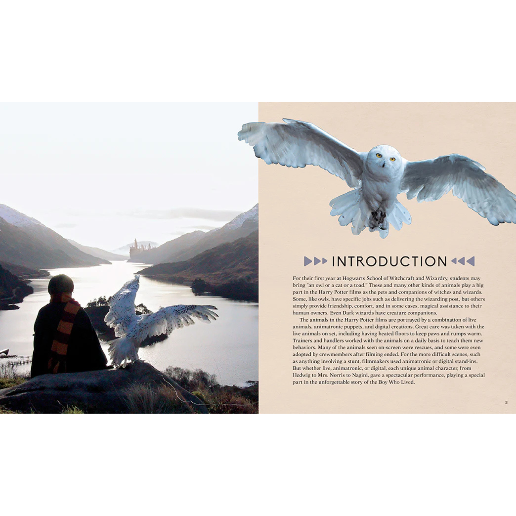 IncrediBuilds: Harry Potter: Hedwig 3D Wood Model and Book