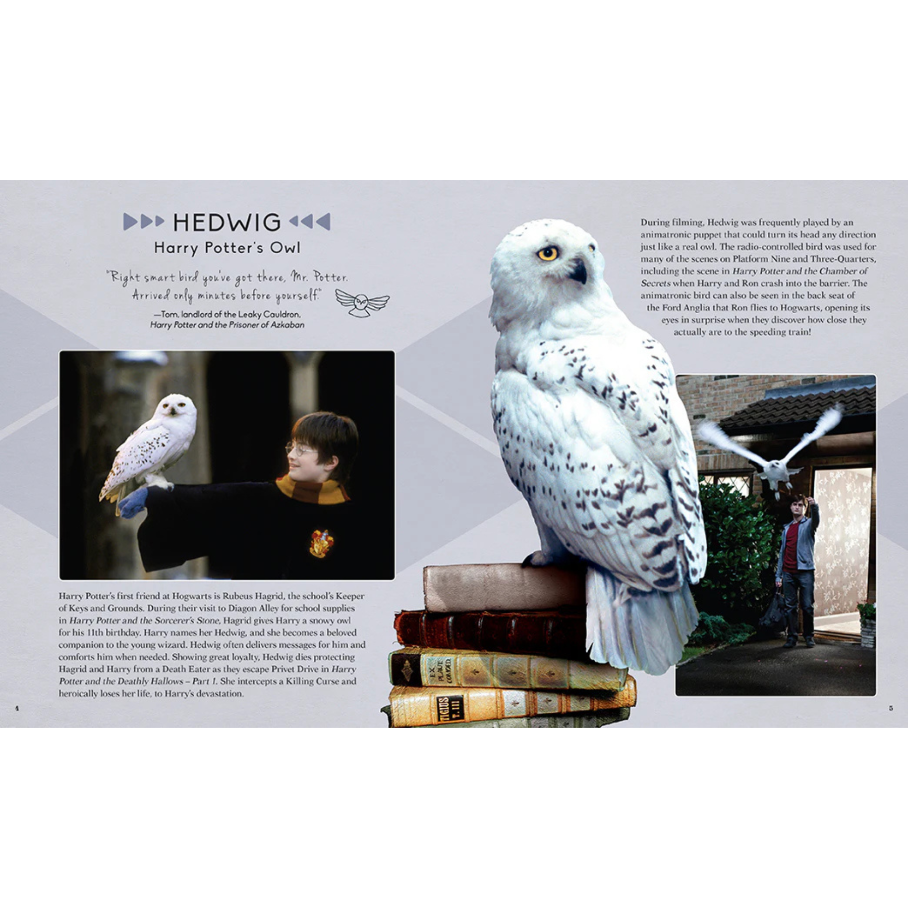 IncrediBuilds: Harry Potter: Hedwig 3D Wood Model and Book