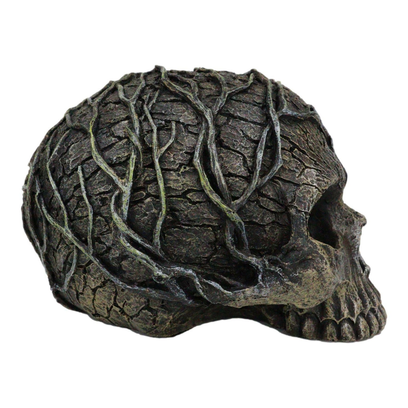 Tree Spirit Skull