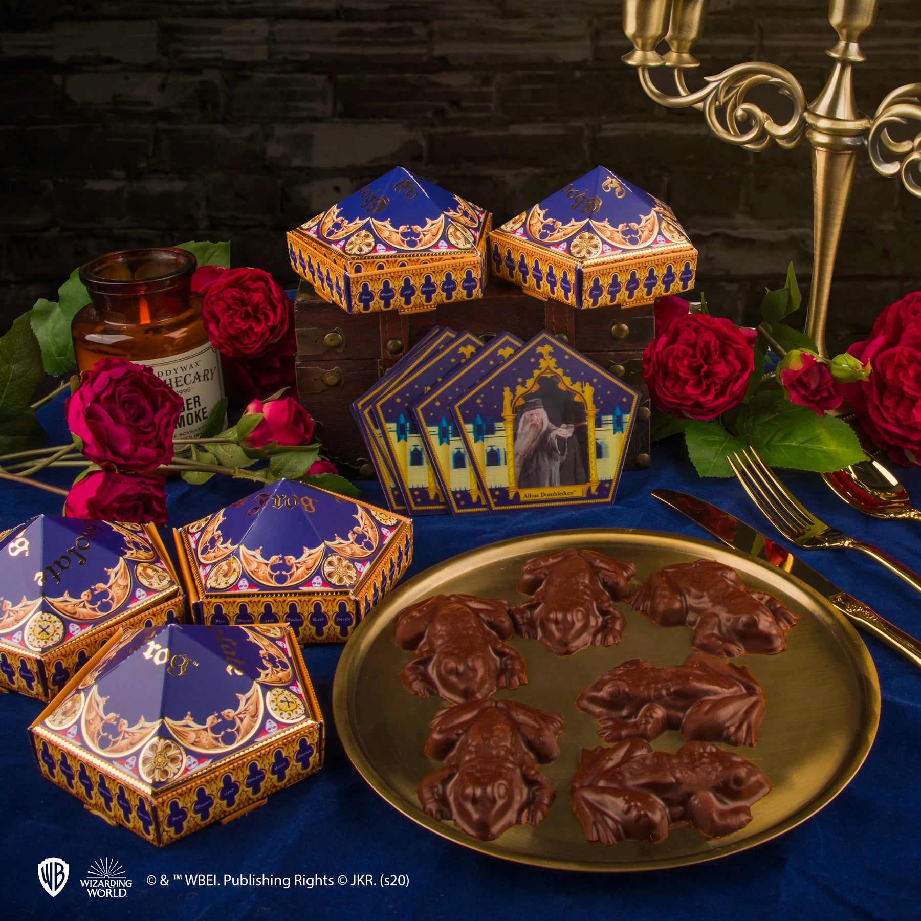 Harry Potter Chocolate Frog Mold Kit