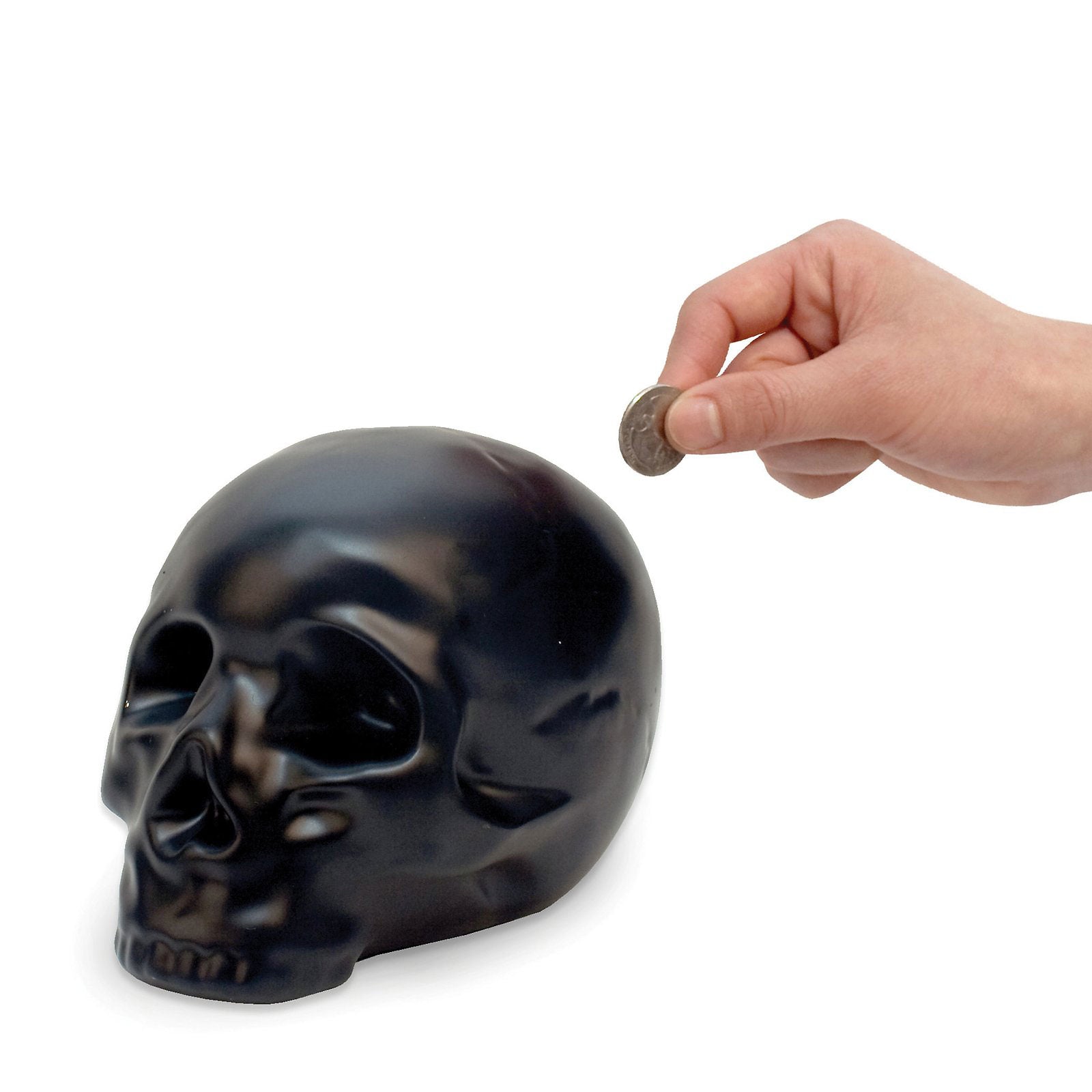 Skull Coin Bank – Curiosa - Purveyors of Extraordinary Things