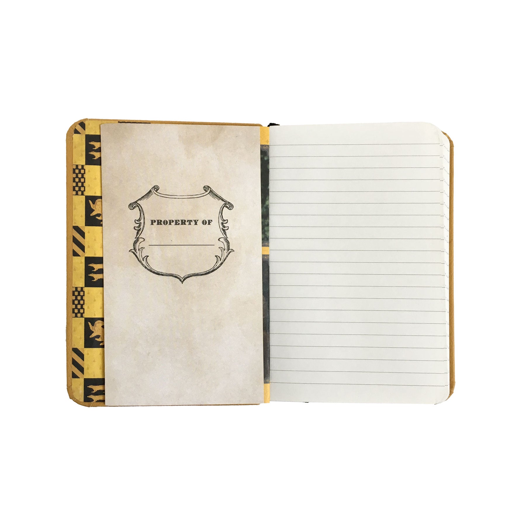 Ravenclaw Pocket Journal – Curiosa - Purveyors of Extraordinary Things