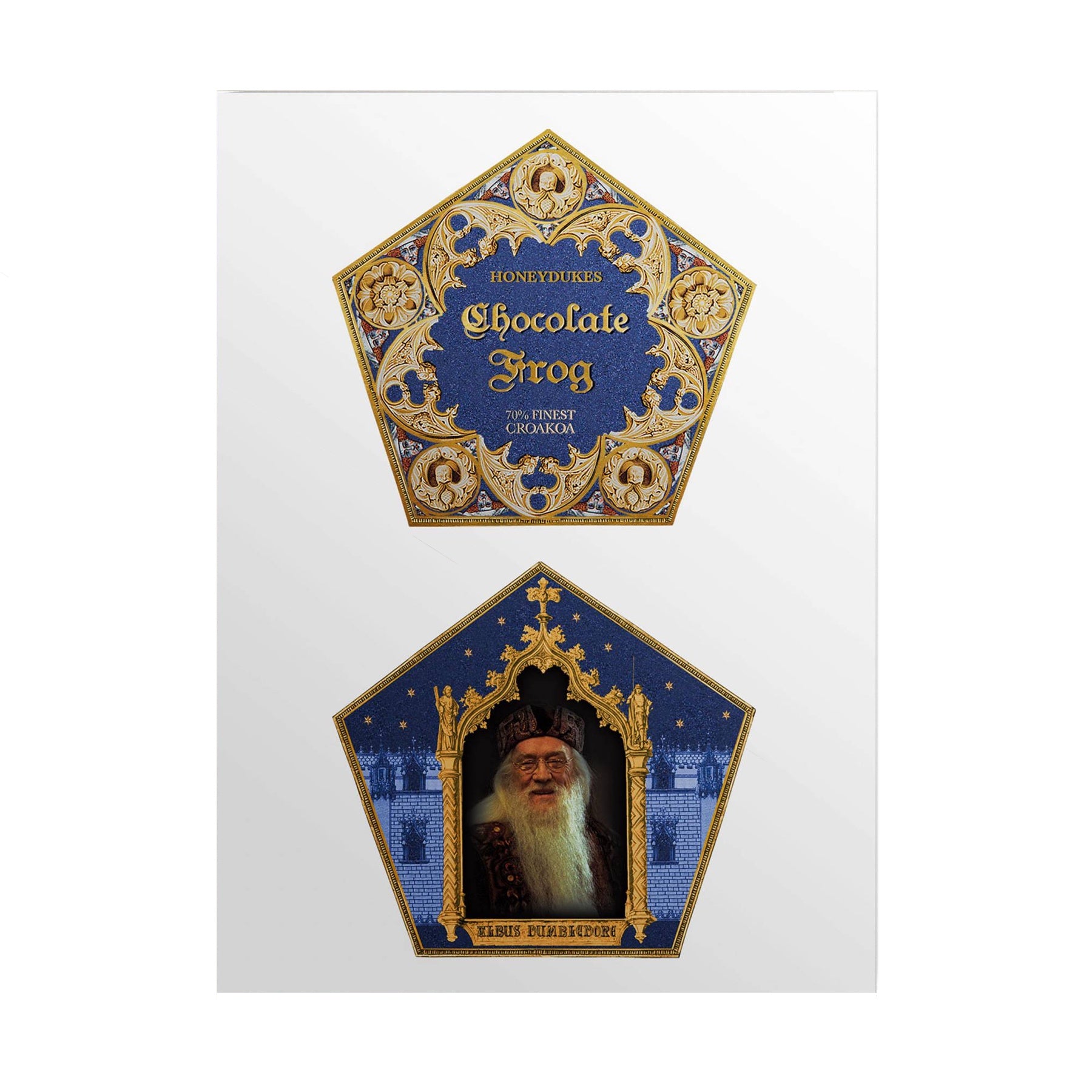 Harry Potter Chocolate Frog in Box New Sealed